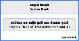Deputy Head of Transformation and Artificial Intelligence - Seylan Bank Vacancies 2026