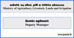 Deputy Manager - Ministry of Agriculture, Livestock, Lands and Irrigation Vacancies 2025