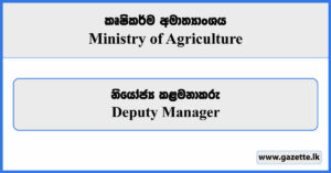 Deputy Manager - Ministry of Agriculture Vacancies 2024
