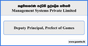 Deputy Principal, Prefect of Games - Management Systems Private Limited Vacancies 2025