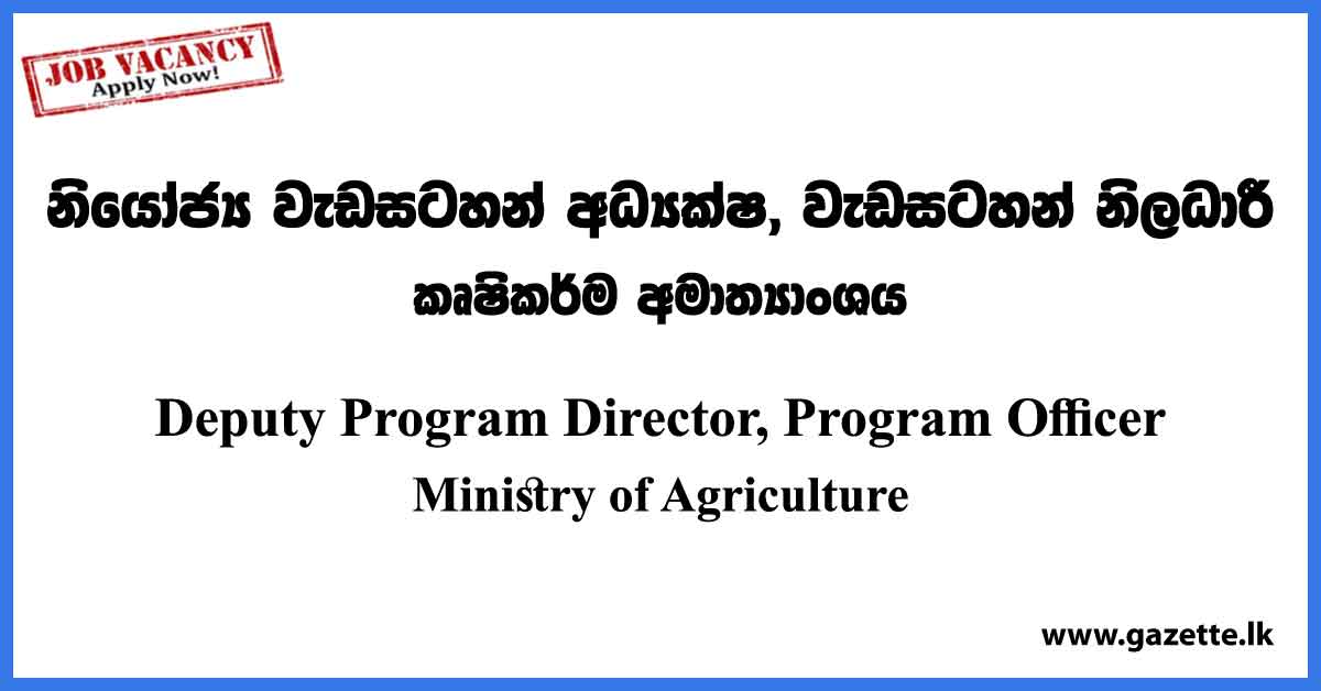 Deputy Program Director, Program Officer