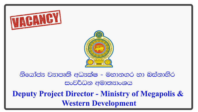 Deputy Project Director - Ministry of Megapolis & Western Development