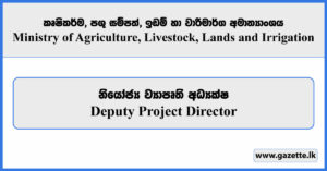 Deputy Project Director - Ministry of Agriculture, Livestock, Lands and Irrigation Vacancies 2025