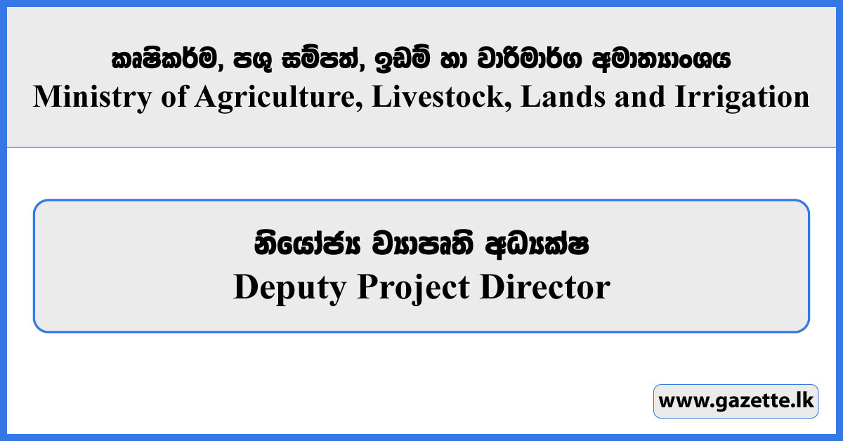 Deputy Project Director - Ministry of Agriculture, Livestock, Lands and Irrigation Vacancies 2025