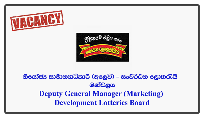 Deputy General Manager (Marketing) - Development Lotteries Board