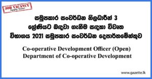 Development-Officer