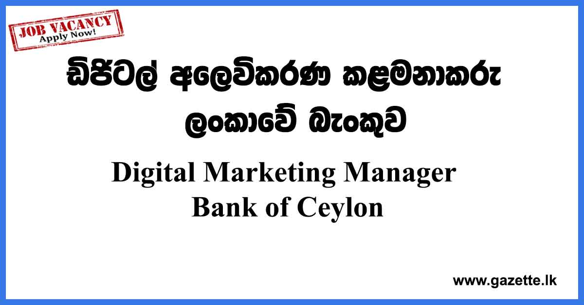 Digital-Marketing-Manager