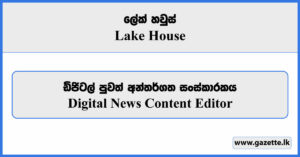 Digital News Content Editor - Lake House Vacancies 2024