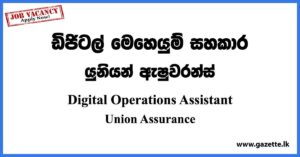Digital Operations Assistant - Union Assurance Vacancies 2023