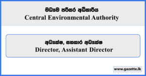 Director, Assistant Director - Central Environmental Authority Vacancies 2026