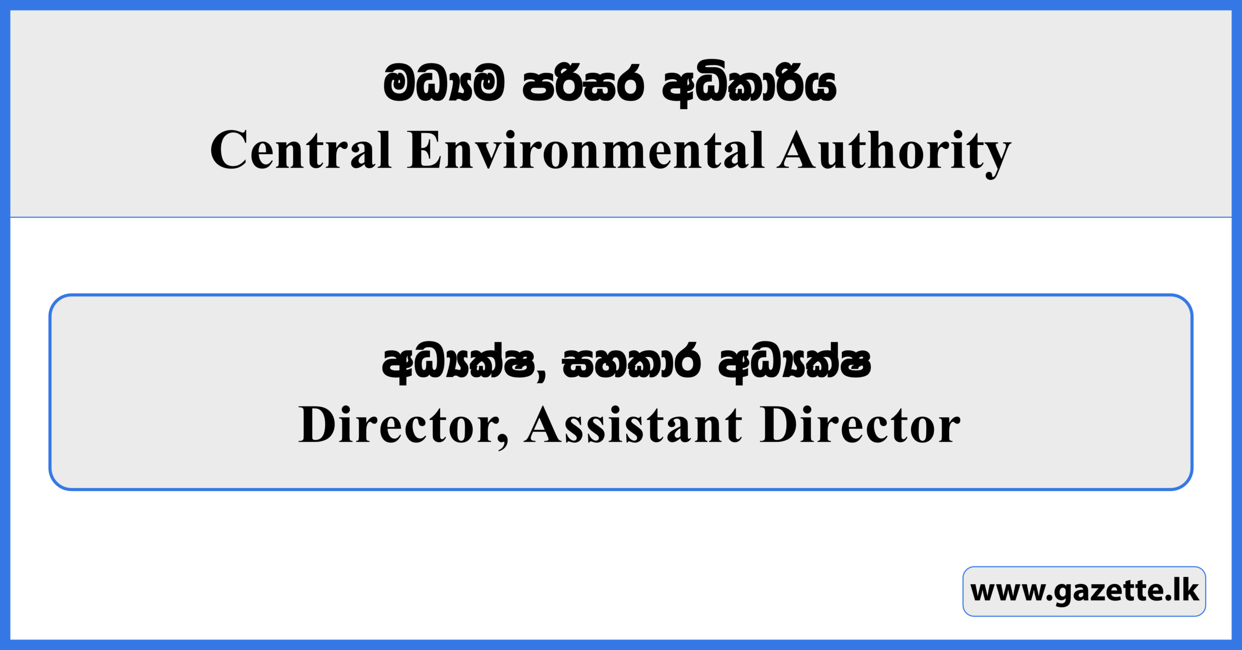Director, Assistant Director - Central Environmental Authority Vacancies 2026