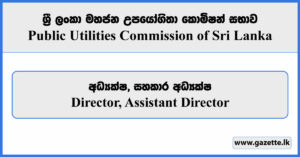 Director, Assistant Director - Public Utilities Commission Vacancies 2023