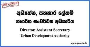 Director, Assistant Secretary - Urban Development Authority