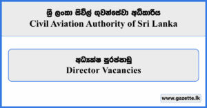 Director - Civil Aviation Authority Vacancies 2025