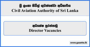 Director - Civil Aviation Authority Vacancies 2023