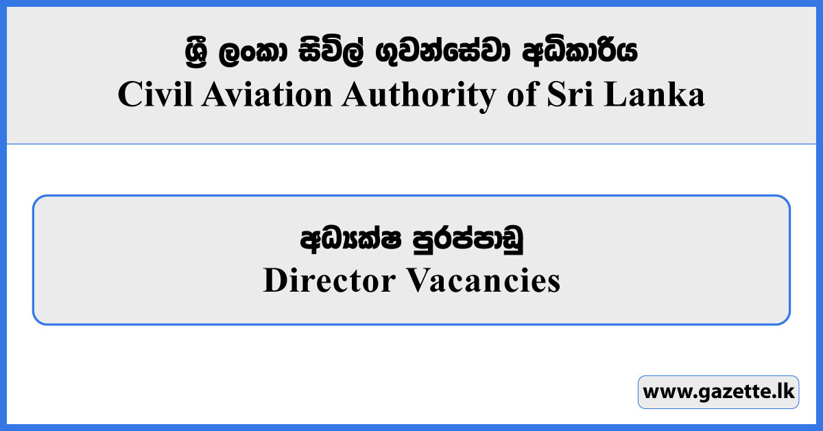 Director - Civil Aviation Authority Vacancies 2025