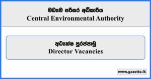 Director - Central Environmental Authority Vacancies 2026