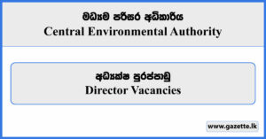 Director - Central Environmental Authority Vacancies 2024