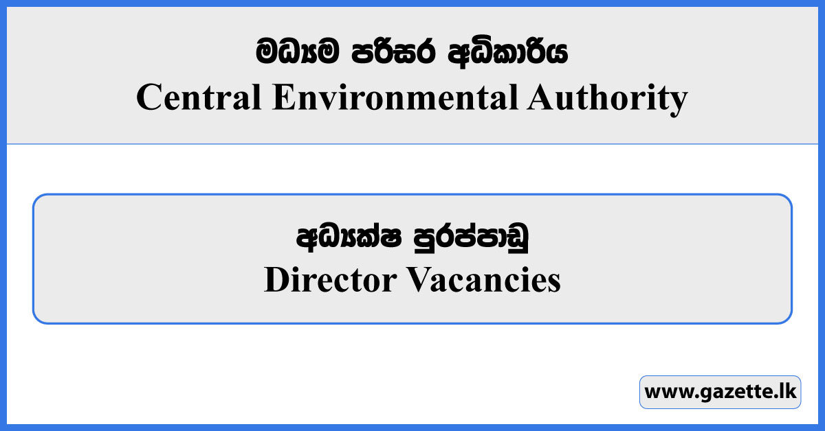 Director - Central Environmental Authority Vacancies 2024