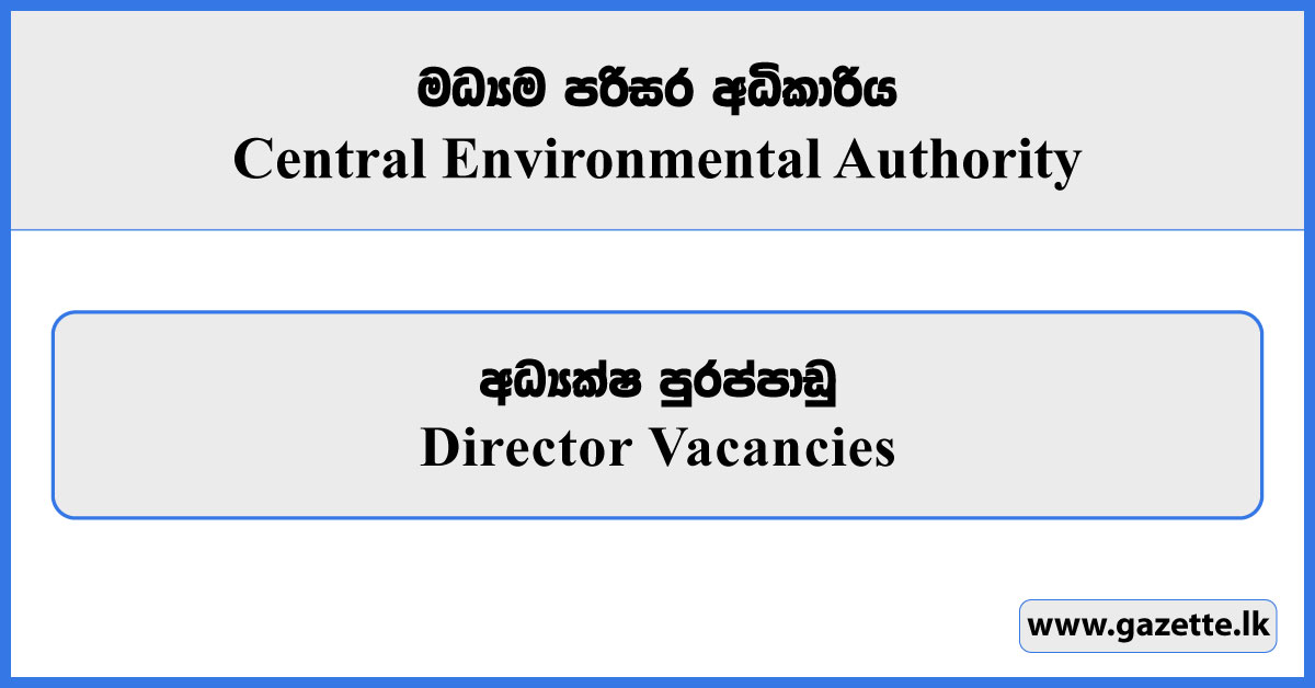 Director - Central Environmental Authority Vacancies 2026