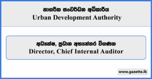 Director, Chief Internal Auditor - Urban Development Authority Vacancies 2025