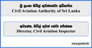 Director, Civil Aviation Inspector - Civil Aviation Authority Vacancies 2024