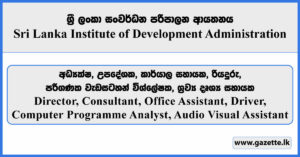 Director, Consultant, Office Assistant, Driver, Computer Programme Analyst, Audio Visual Assistant - SLIDA Vacancies 2025