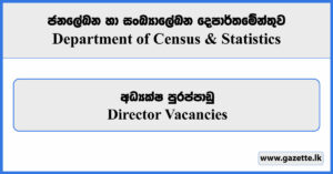 Director - Department of Census & Statistics Vacancies 2023