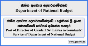 Director - Department of National Budget Vacancies 2023