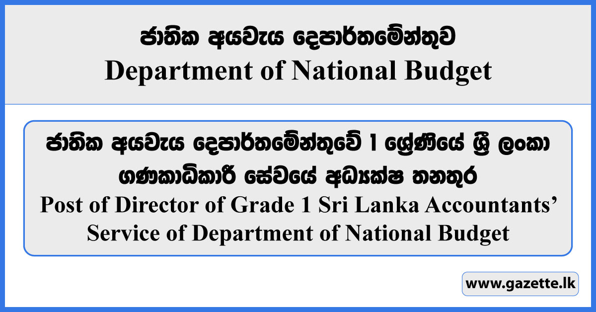 Director - Department of National Budget Vacancies 2023