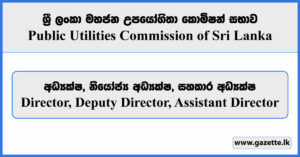 Director, Deputy Director, Assistant Director - Public Utilities Commission Vacancies 2023
