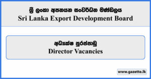 Director - Sri Lanka Export Development Board Vacancies 2024