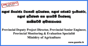 Director,-Engineer---Ministry-of-Agriculture-