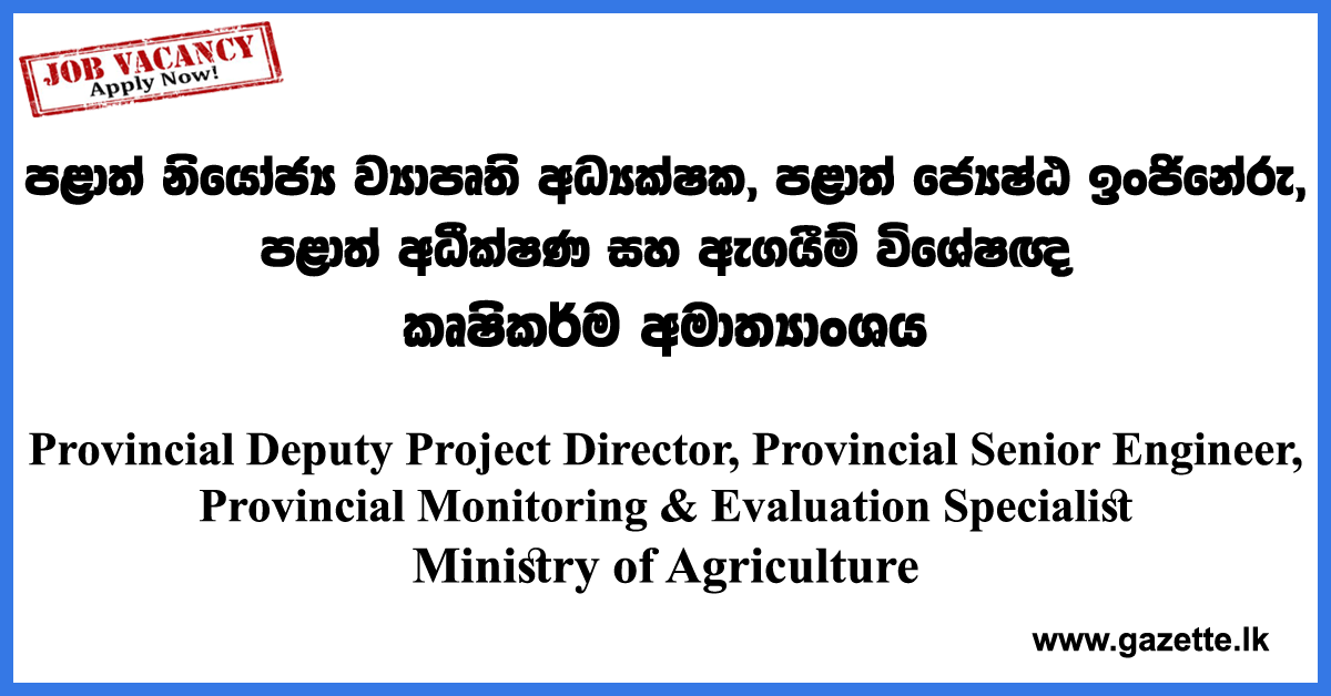 Director,-Engineer---Ministry-of-Agriculture-