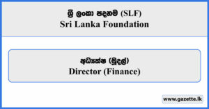 Director Finance - Sri Lanka Foundation Vacancies 2026
