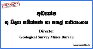 Director - Geological Survey Mines Bureau Vacancies 2023