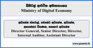 Director General, Director, Senior Director, Internal Auditor, Assistant Director - Ministry of Digital Economy Vacancies 2025