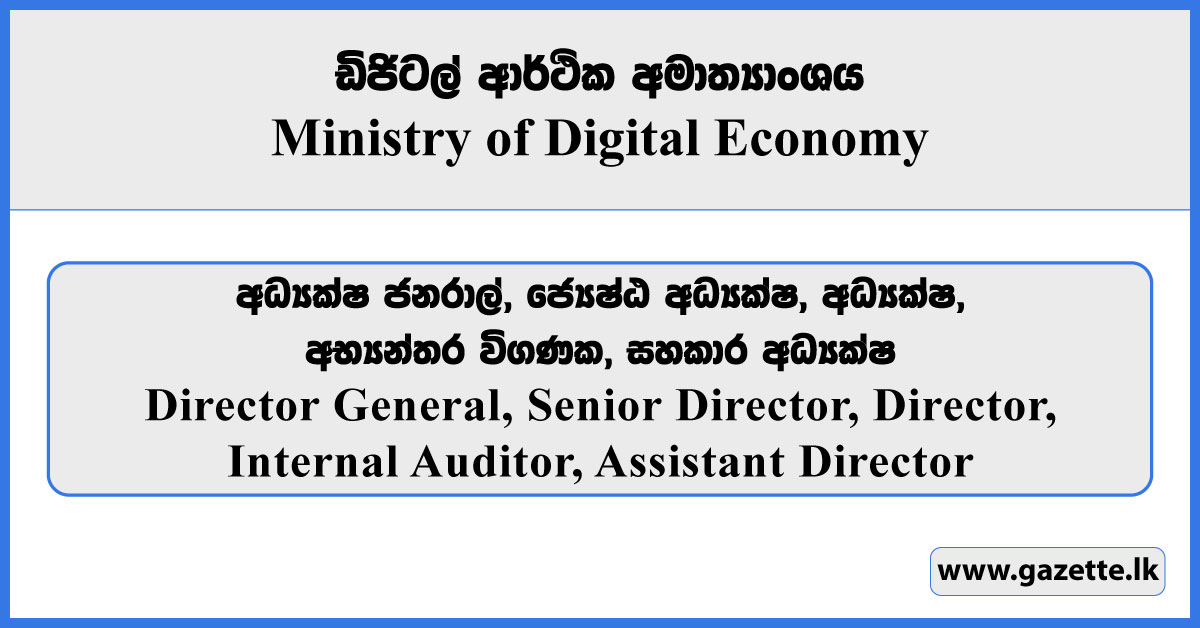 Director General, Director, Senior Director, Internal Auditor, Assistant Director - Ministry of Digital Economy Vacancies 2025