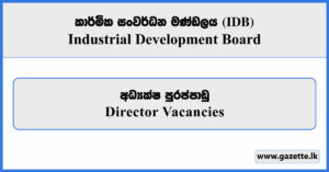 Director - Industrial Development Board Vacancies 2026