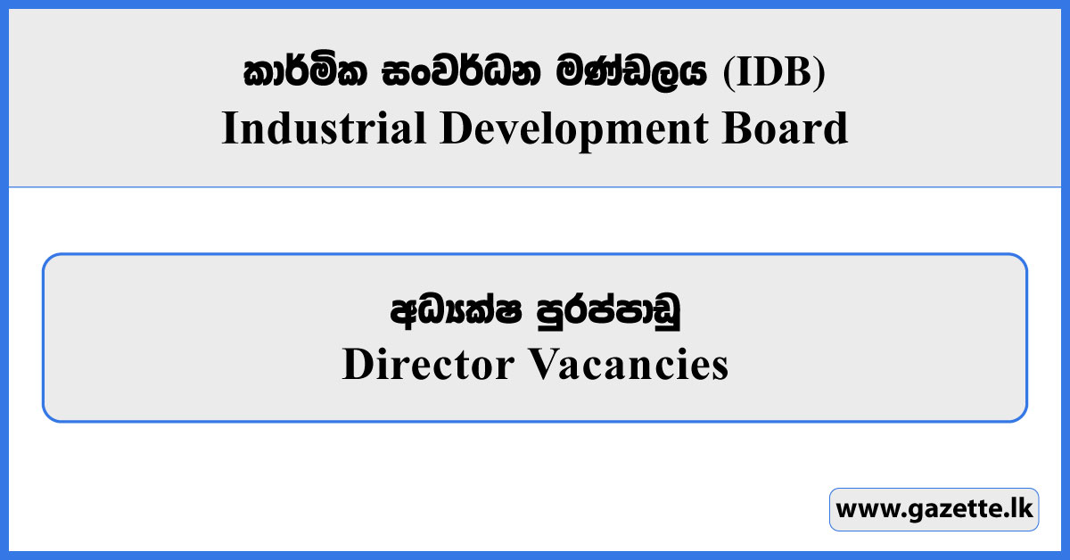 Director - Industrial Development Board Vacancies 2026