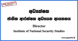 Director - Institute of National Security Studies Vacancies 2023
