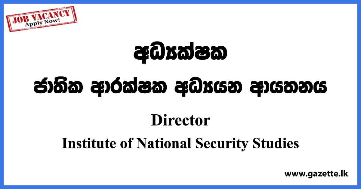 Director - Institute of National Security Studies Vacancies 2023