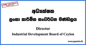 Director - Industrial Development Board of Ceylon