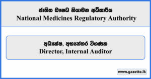 Director, Internal Auditor - National Medicines Regulatory Authority Vacancies 2025