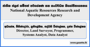 Director, Land Surveyor, Programmer, Systems Analyst, Data Analyst - NARA Job Vacancies 2024