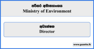Director (Investigation) - Ministry of Environment Vacancies 2023