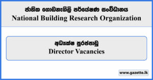 Director - National Building Research Organization Vacancies 2023