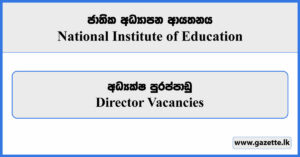 Director - National Institute of Education Vacancies 2024