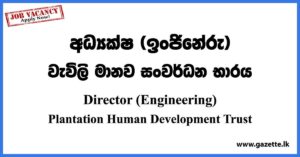 Director (Engineering) - Plantation Human Development Trust Vacancies 2023