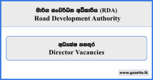 Director - Road Development Authority Vacancies 2026